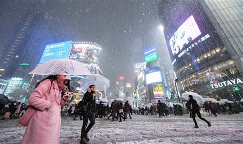 12월 도쿄 날씨, 그리고 눈 내리는 밤의 초콜릿 공장